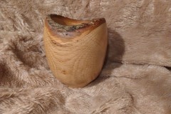 IMG_20201129_164353424