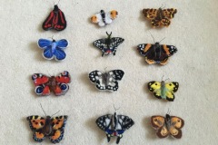 butterflies