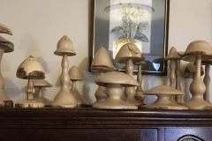 mushrooms